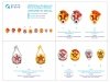Quinta Studio QM35006 USSR Defense Societies and Red Army badges (1930s-1940s) 1/35